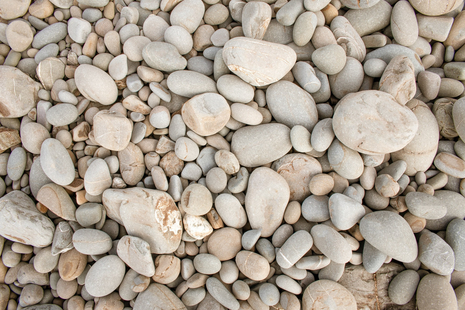 White pebbles